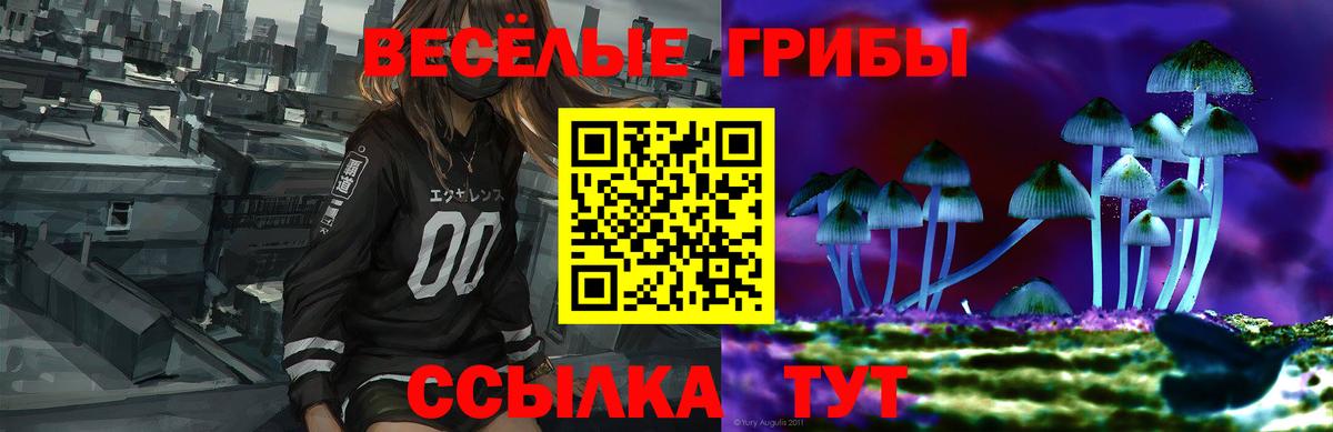 Ртищево  Галлюциногенные грибы прущие грибы  Псилоцибиновые грибы Cubensis  Вход с VPN 