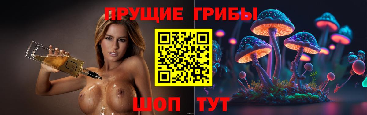 Псилоцибиновые грибы Magic Shrooms Ртищево